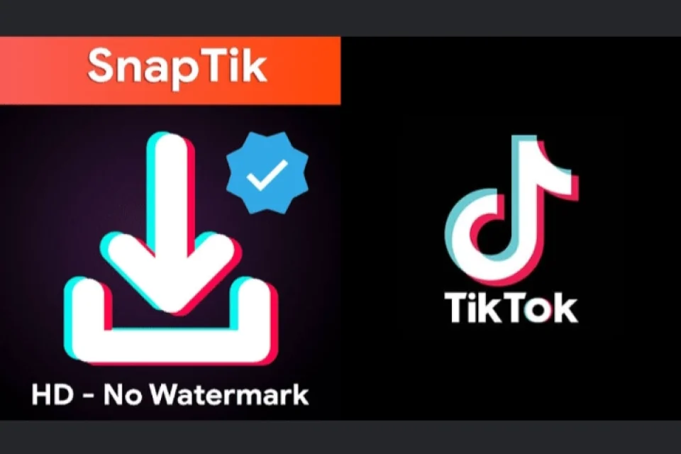 SnapTik Cocok untuk Pengguna yang Ingin Video TikTok Bersih